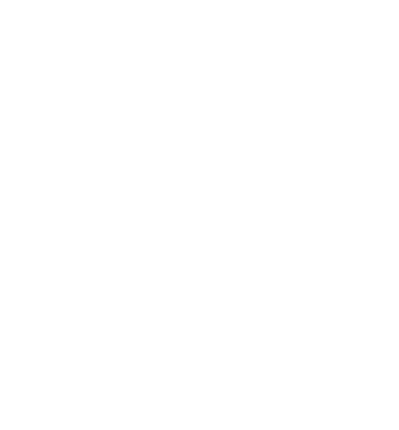 Chicken Illustration